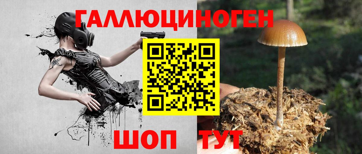 Псилоцибиновые грибы мицелий Сегежа
