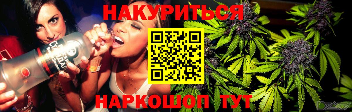 Конопля планчик Сегежа
